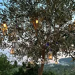 Hotel Aphrodite's Garden 3*