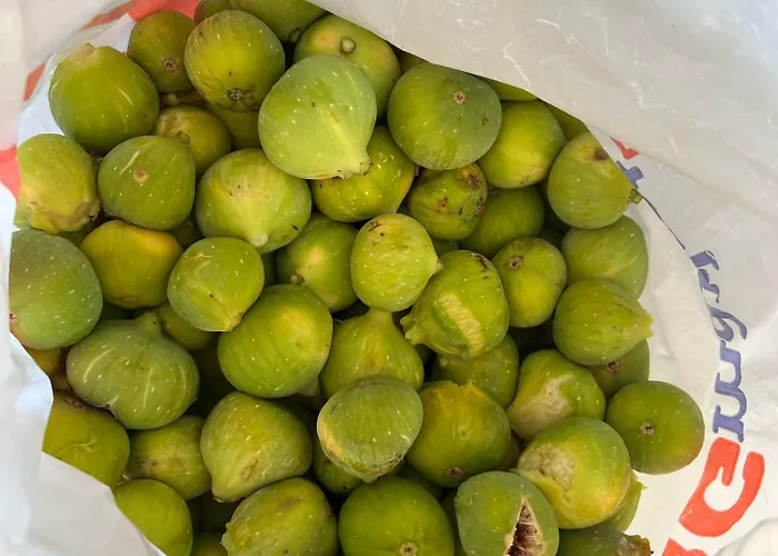 Aphrodite's Garden Hotel Himare