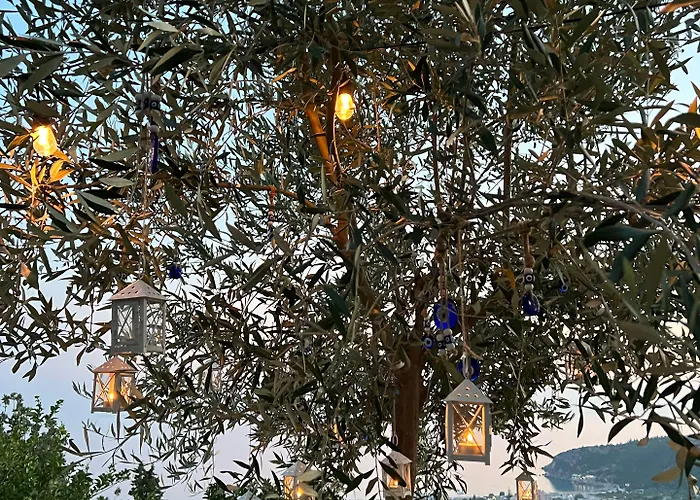 Hotel Aphrodite's Garden 3*