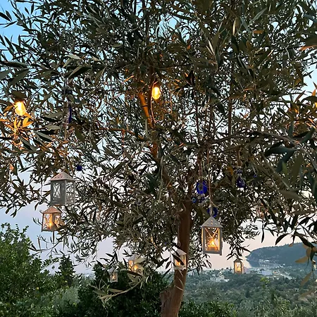 Frühstückspension Aphrodite's Garden 3*