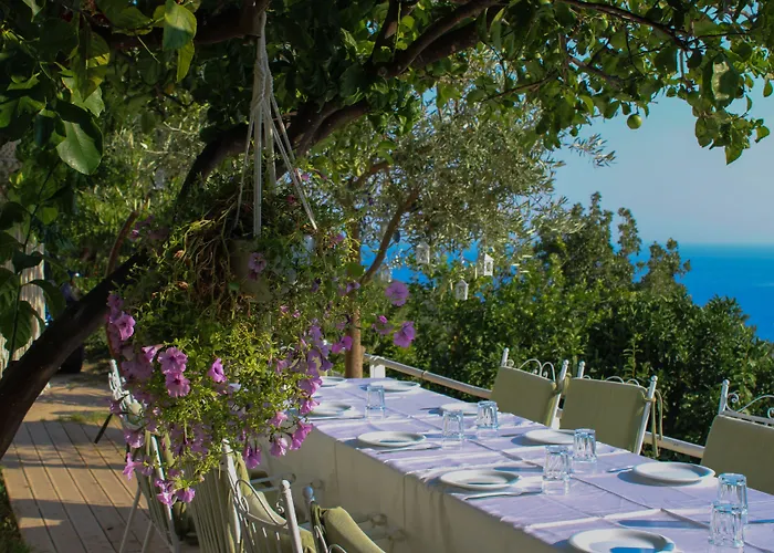 Hotel Aphrodite's Garden 3*